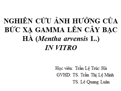 Báo cáo Nghiên cứu ảnh hưởng của bức xạ gamma lên cây bạc hà (Mentha arvensis L.) In vitro