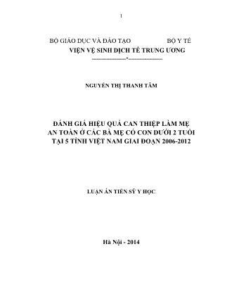 Luận án Đánh giá hiệu quả can thiệp làm mẹ an toàn ở các bà mẹ có con dưới 2 tuổi tại 5 tỉnh Việt Nam giai đoạn 2006-2012