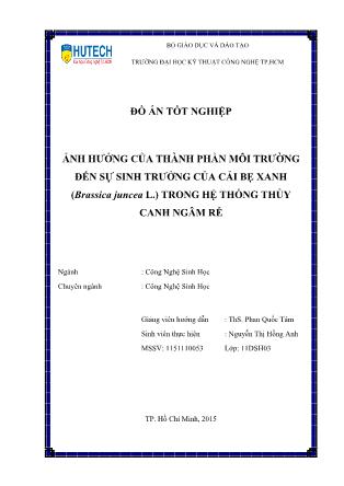 Đồ án Ảnh hưởng của thành phần môi trường lên sự sinh trưởng của cải bẹ xanh (Brassica juncea L.) trong hệ thống thủy canh ngâm rễ