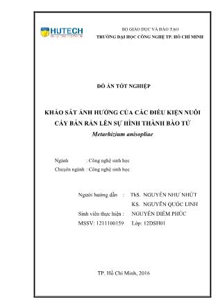 Đồ án Khảo sát ảnh hưởng của các điều kiện nuôi cấy bán rắn lên sự hình thành bào tử Metarhizium anisopliae