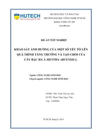 Đồ án Khảo sát ảnh hưởng của một số yếu tố lên quá trình tăng trưởng và tạo chồi của cây bạc hà á Mentha Arvensis L