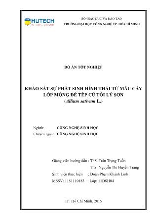 Đồ án Khảo sát sự phát sinh hình thái từ mẫu cấy lớp mỏng đế tép củ tỏi Lý Sơn (Allium sativum L.)