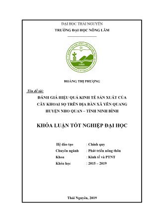 Khóa luận Đánh giá hiệu quả kinh tế sản xuất của cây khoai sọ trên địa bàn xã Yên Quang - huyện Nho Quan - tỉnh Ninh Bình