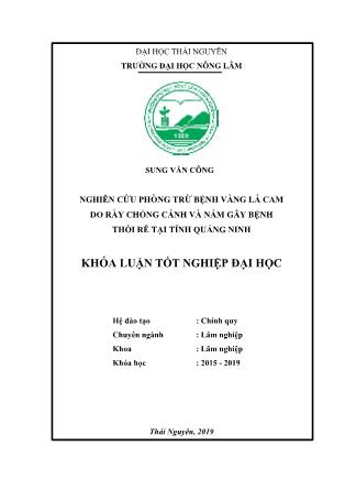 Khóa luận Nghiên cứu phòng trừ bệnh vàng lá cam do rầy chổng cánh và nấm gây bệnh thối rễ tại tỉnh Quảng Ninh