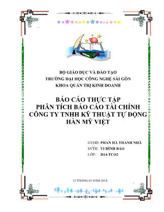 Báo cáo Phân tích Báo cáo tài chính Công Ty TNHH Kỹ Thuật Tự Động Hàn Mỹ Việt