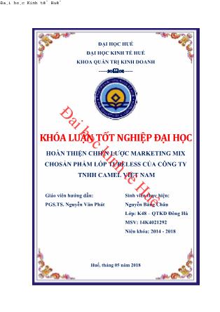 Khóa luận Hoàn thiện chiến lược Marketing Mix cho sản phẩm lốp Tubeless của công ty Trách nhiệm hữu hạn cao su Camel Việt Nam