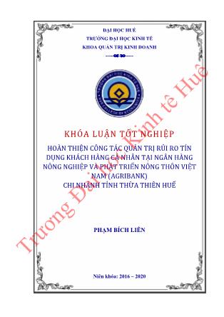 Khóa luận Hoàn thiện công tác Quản trị rủi ro tín dụng khách hàng cá nhân tại Ngân hàng Nông nghiệp và Phát triển Nông thôn Việt Nam (Agribank) Chi nhánh tỉnh Thừa Thiên Huế