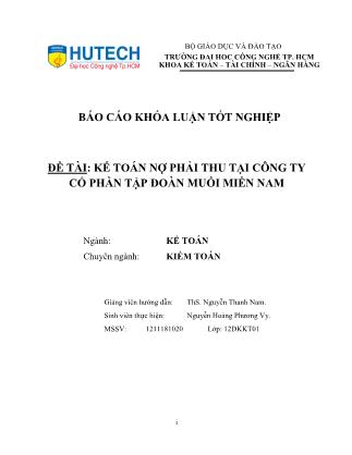 Khóa luận Kế toán nợ phải thu tại Công ty cổ phần Tập đoàn muối miền Nam