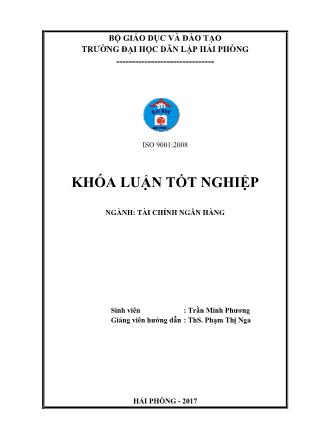 Khóa luận Phân tích tình hình tài chính tại Công ty TNHH Đầu tư Thương mại Hoàng Nam Phát